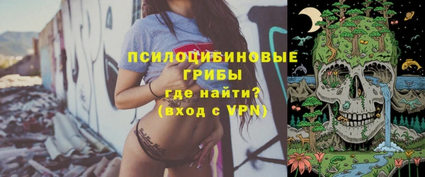 Альфа ПВП Абаза